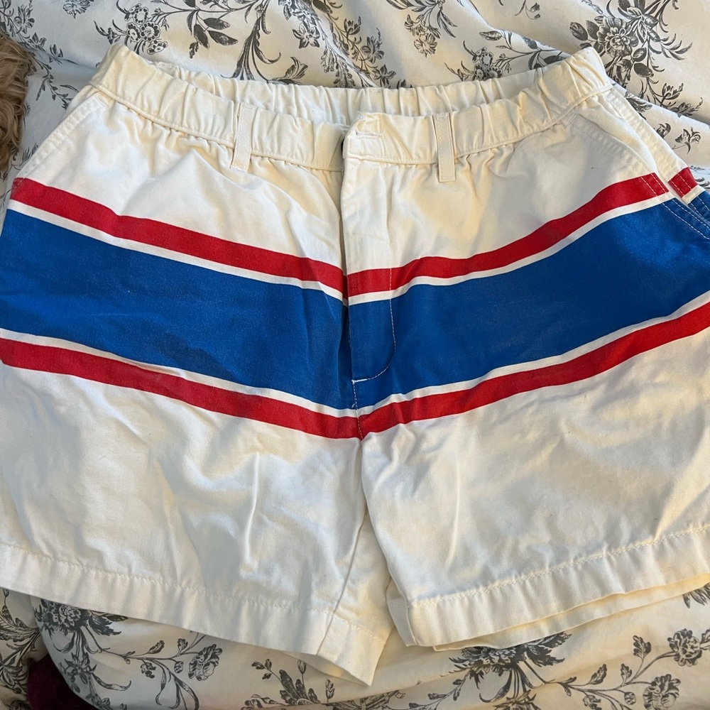 Vintage Chubbies White Shorts with Red and Blue Stripes